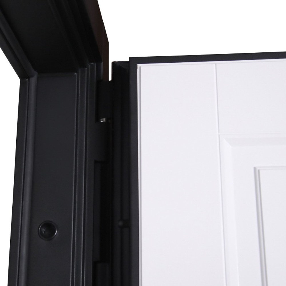 Стальная дверь "Амстердам" (биометрический замок DZ 888). Заказная модель.