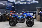 Квадроцикл TIGER 150 Universal RX
