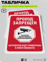 Табличка для частной территории "Проход запрещен", на дом, для участка, организаций и частных территорий, предупреждающая, 40х30 см, Silver Plane x Айдентика Технолоджи