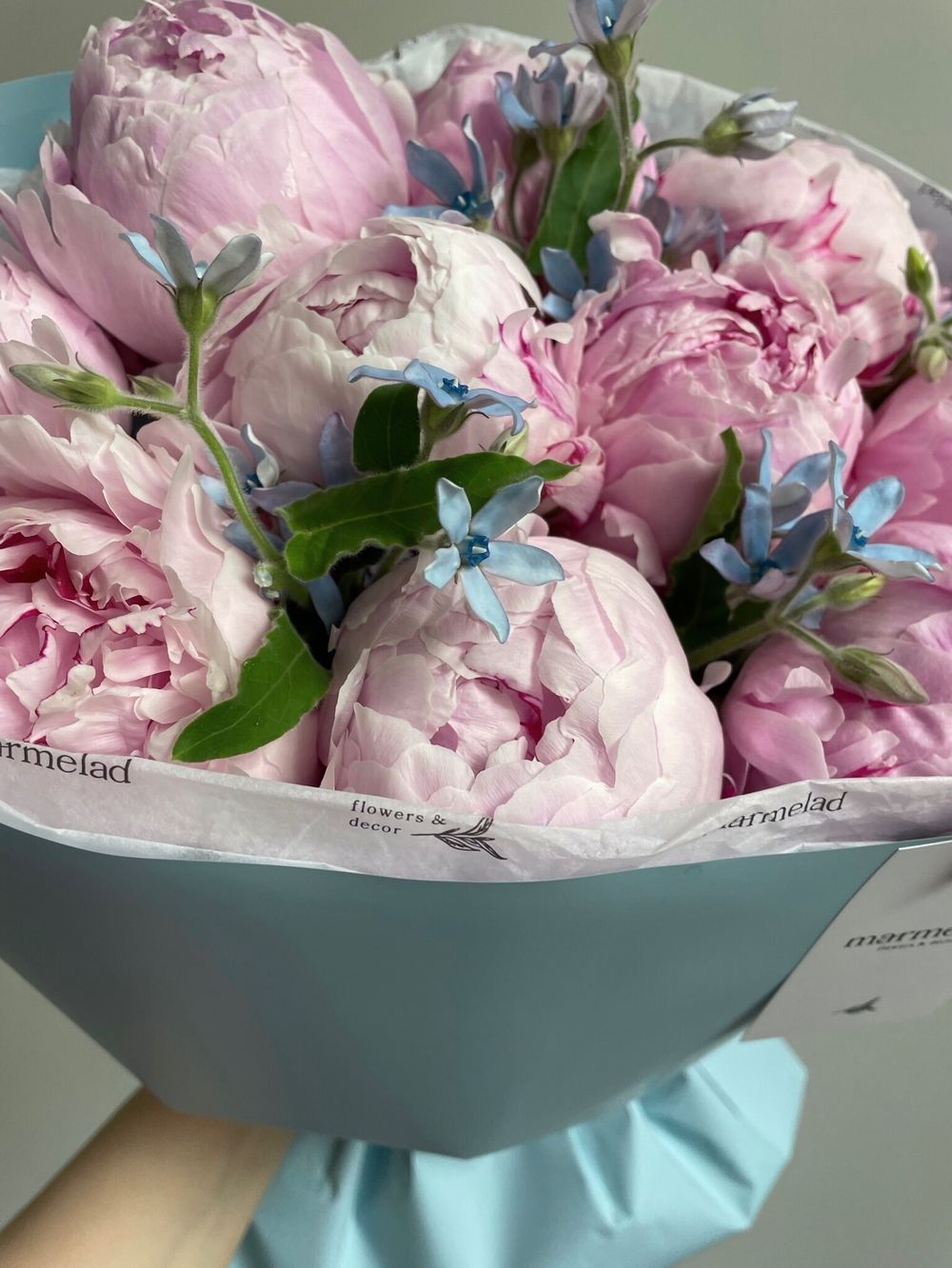 Букет 13шт пионов с незабудками в оформлении