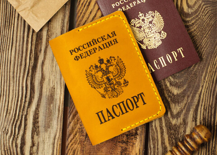 Обложка для паспорта с большим гербом России