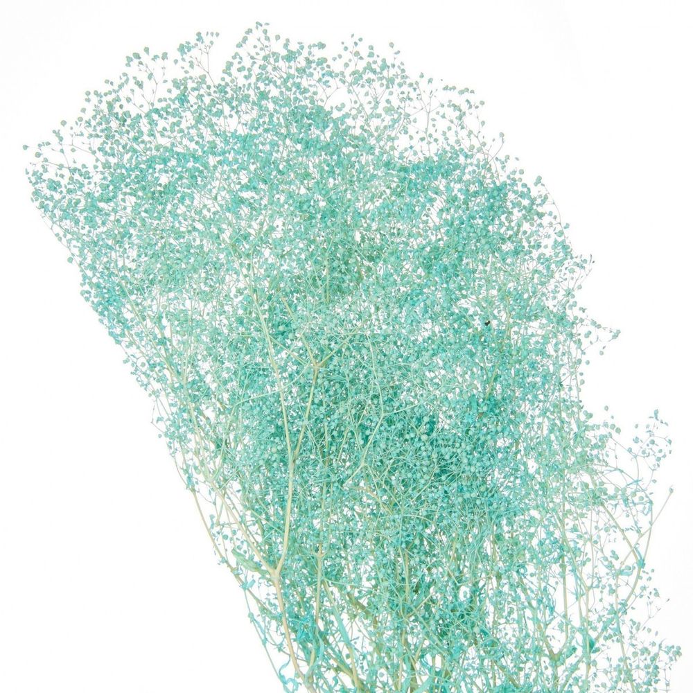 Сухоцвет Гипсофила Бирюзовый