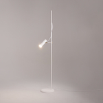 Напольный светильник (торшер) Maytoni MOD129FL-01W