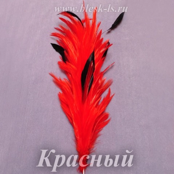 Перо курицы (кисточка) 20-25 см, Красный