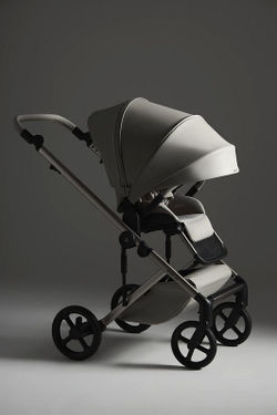 Детская коляска Anex Eli 2 в 1 без рюкзака Santal El-06