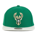 Кепка Mitchell & Ness Team 2 Tone 2.0 Snapback NBA Milwaukee Bucks