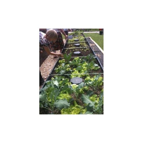 Фитильная система полива AQUAbox Spyder