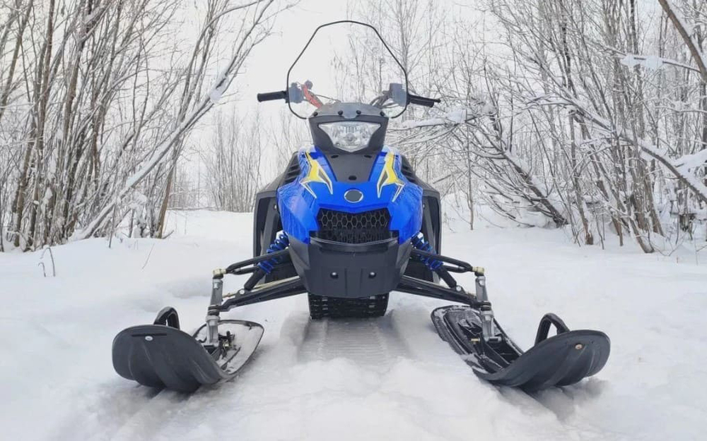 Снегоход WOIDEAL WD 300