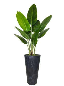 Искусственное растение для интерьера дома и офиса, стильный декор с графитовым кашпо
