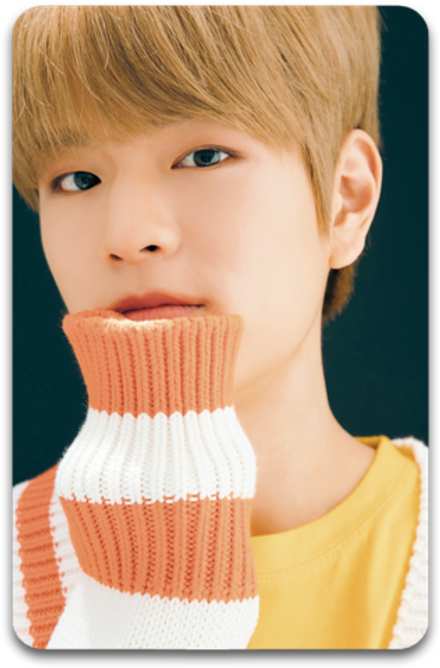 Карта / STRAY KIDS #3067