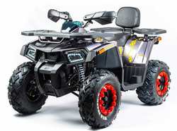 Квадроцикл MOTOLAND (МОТОЛЕНД) 200 WILD TRACK X (баланс. вал)