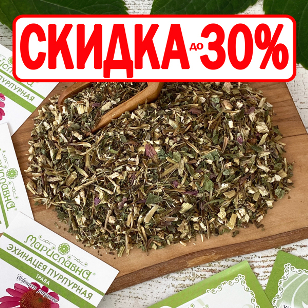 Эхинацея пурпурная (трава)