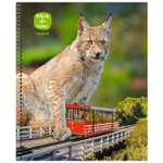 Тетрадь 48л., А5, клетка, Канц-Эксмо "В городе!", гребень, мелованный картон, твин.лак, 5 дизайнов