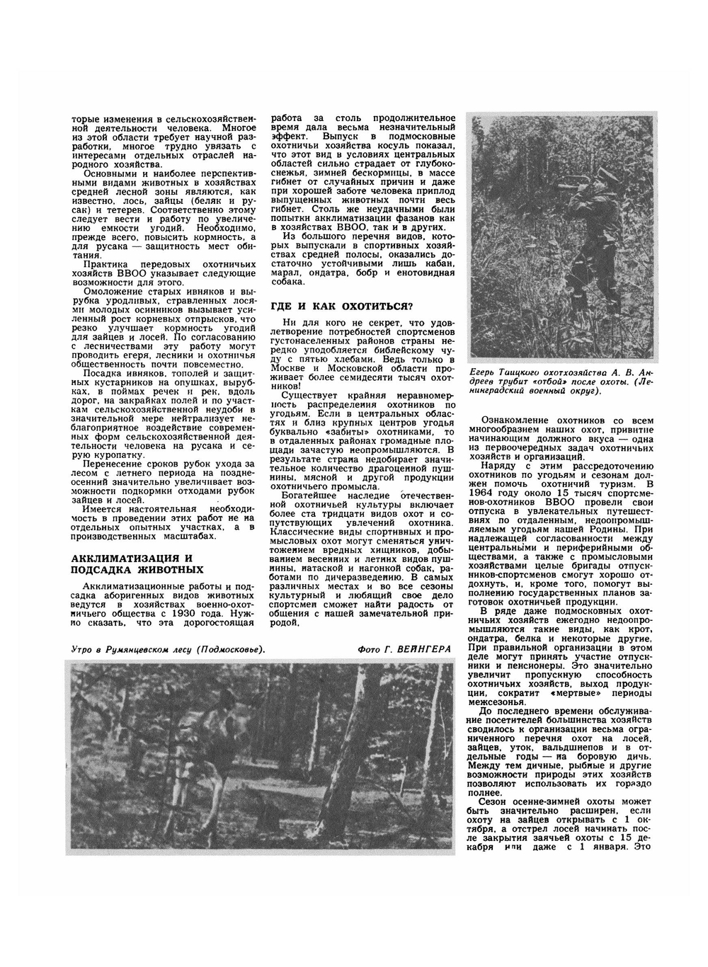 Журнал "Охота и охотничье хозяйство". № 10,1965 | Сборник