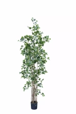 Береза 180см (тёмный ствол)