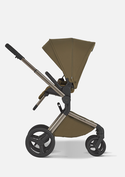 Anex Детская коляска Flo 2 в 1 Astra