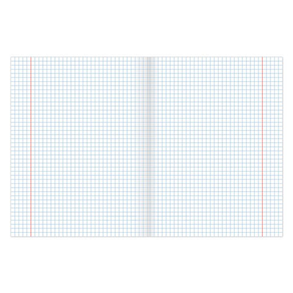 Тетради предметные, КОМПЛЕКТ 10 ПРЕДМЕТОВ, КЛАССИКА, 48 листов, BRAUBERG, 403559