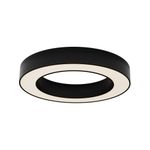 Потолочный светильник Technical C093CL-36W3K-B