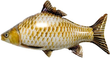 Фигура "Рыба - вобла"