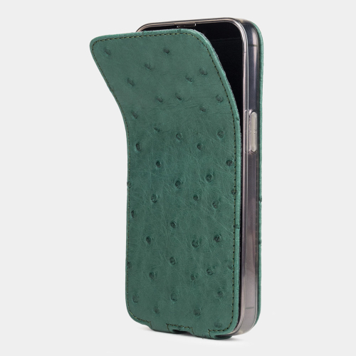 Чехол для iPhone 13 Pro из кожи страуса, зеленого цвета