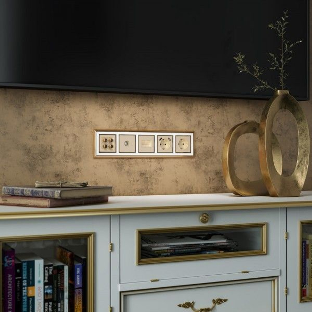 Акустическая розетка (шампань)