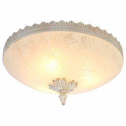Накладной светильник Arte Lamp A4541PL-3WG