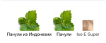 Molecule 01 + Patchouli Escentric Molecules