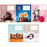 Тетрадь школьная А5 12л косая линия "Питомцы. I really like" Т12нл_22922 (Спейс)