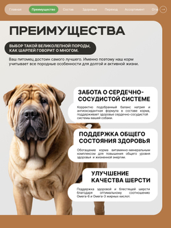 Корм сухой для взрослых собак породы Шарпей, с ягненком, 12 кг, QUATTRO