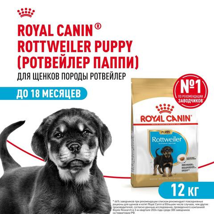 Royal Canin Rottweiller Puppy Ротвейлер Паппи Корм сухой для щенков породы Ротвейлер до 18 месяцев 12кг