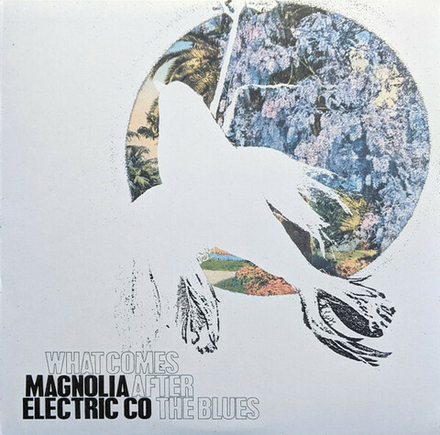 LP Magnolia electric Co. What comes after the blues