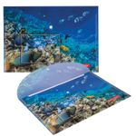 Папка-конверт с кнопкой BRAUBERG "SEA WORLD" А4 160 мкм до 100 листов цветная печать (12 штук в упаковке)