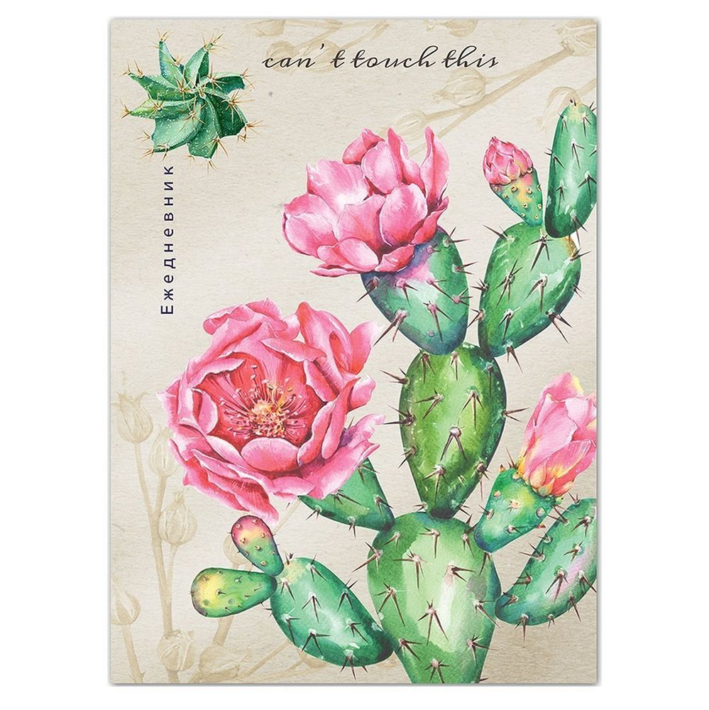 Ежедневник недатированный, А5, Проф-Пресс, 7БЦ, ламинация, линия,лен 136 л, "Кактусы в цвету" Ежедневник недатированный, А5, Проф-Пресс, 7БЦ, ламинация, линия,лен 136 л, "Кактусы в цвету"