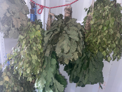 Веник для бани и сауны из берёзы