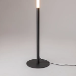 Торшер Maytoni RAY Z012FL-L18B3K