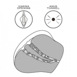 Двойной мастурбатор Streetgirl's № 4 (вагина+анус)