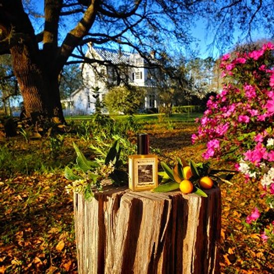 Solstice Scents Farmhouse in spring