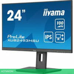 Монитор Iiyama ProLite XUB2493HSU-B6