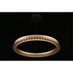 Подвесная светодиодная люстра Aployt Justyna APL.787.03.50