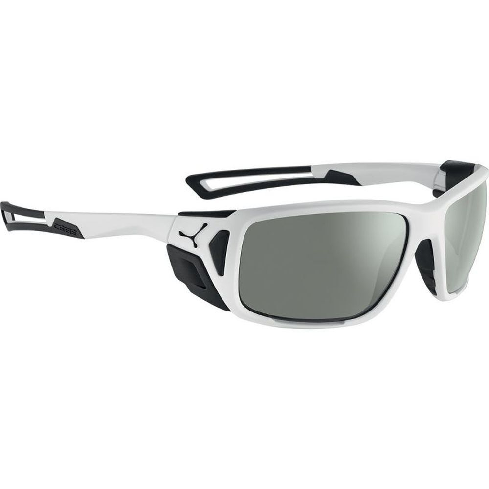 Солнцезащитные очки CEBE PROGUIDE Matt Whaite Black Zone Vario Green Cat.2-4 Silver AF