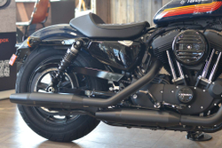 Iron 1200 Sportster Harley-Davidson Billiard Blue