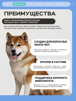 Корм для взрослых собак породы Акита-ину, с кроликом, 12 кг, QUATTRO