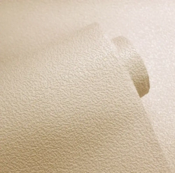 Обои винил на флизелине Белвинил Континенты фон 0429-61 1.06*10м