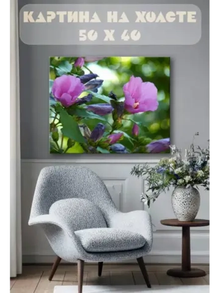 Картина на стену 40 X 50 Гибискус сирийский