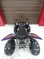 Квадроцикл PROMAX RAPTOR 300 NEW