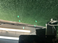 Стекло двери заднее левое Audi A6 5 C8 (2018-н.в.)