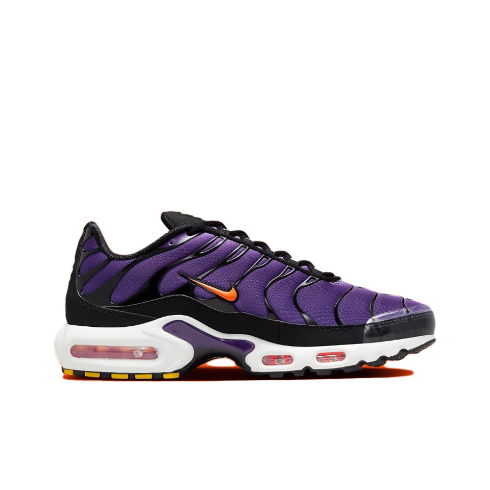 Мужские кроссовки Nike Air Max Plus OG 'Voltage Purple' DX0755‑500