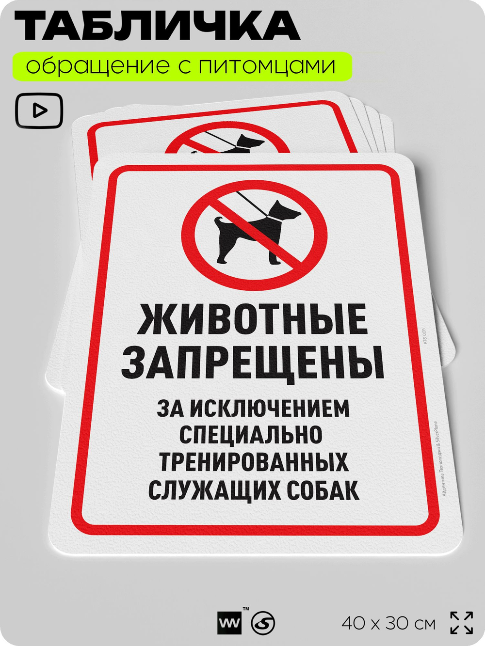 Табличка "Животные запрещены" на дверь и забор, для двора, дома, подъезда, 40х30 см, Silver Plane x Айдентика Технолоджи