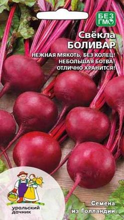 Свекла
