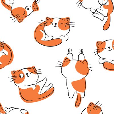 Котики